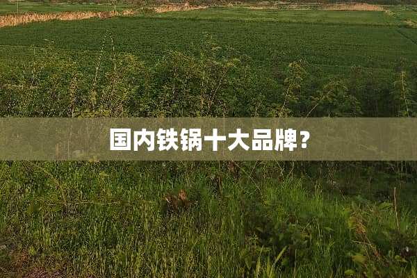 国内铁锅十大品牌？
