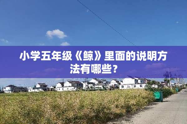 小学五年级《鲸》里面的说明方法有哪些？