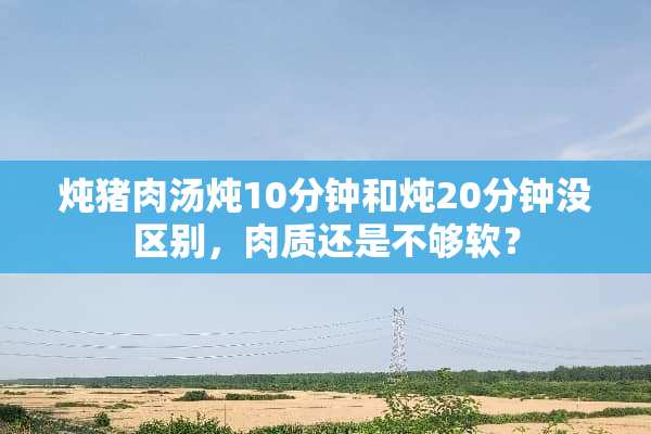 炖猪肉汤炖10分钟和炖20分钟没区别，肉质还是不够软？