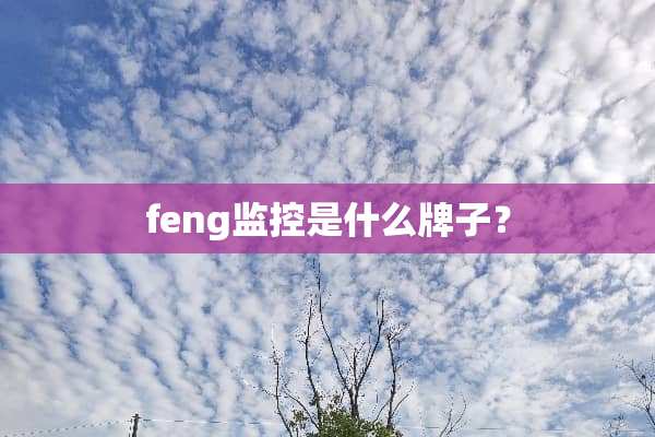 feng监控是什么牌子？