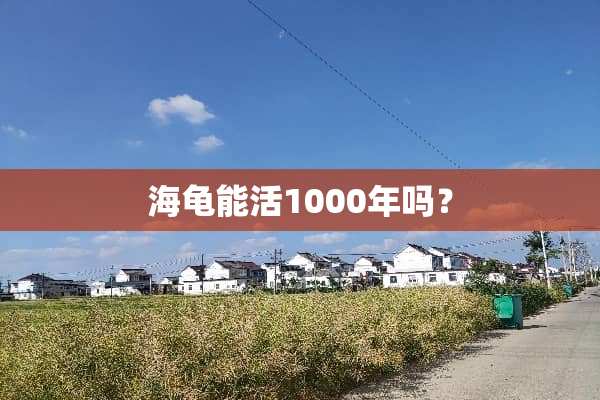 海龟能活1000年吗？