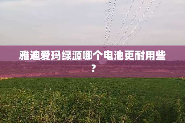 雅迪爱玛绿源哪个电池更耐用些？