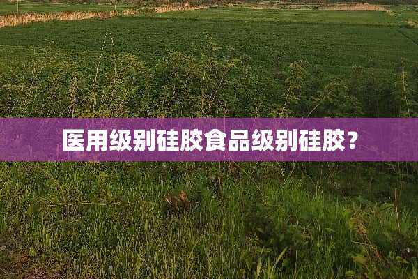 医用级别硅胶食品级别硅胶？