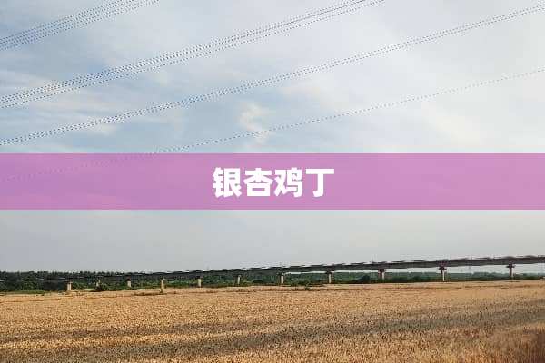 银杏鸡丁
