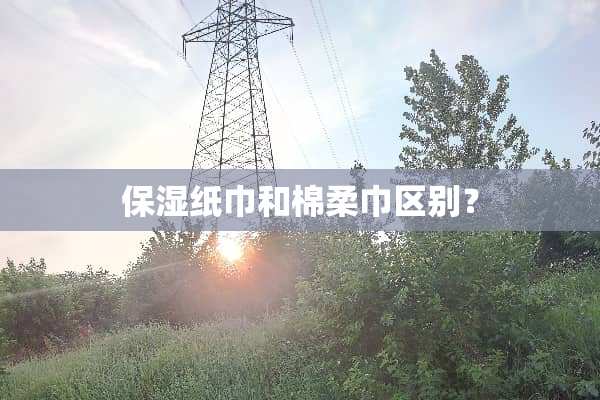保湿纸巾和棉柔巾区别？