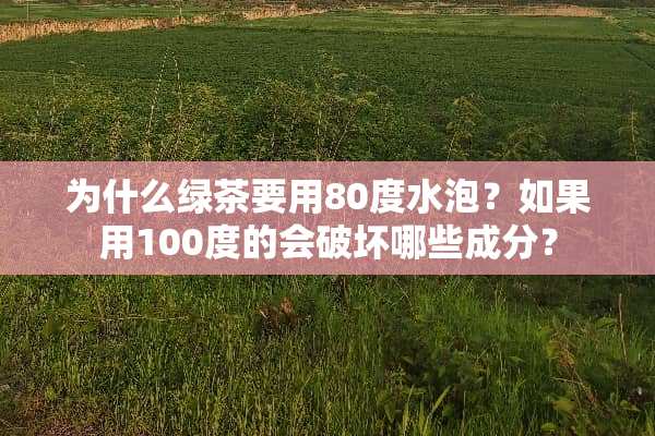 为什么绿茶要用80度水泡？如果用100度的会破坏哪些成分？