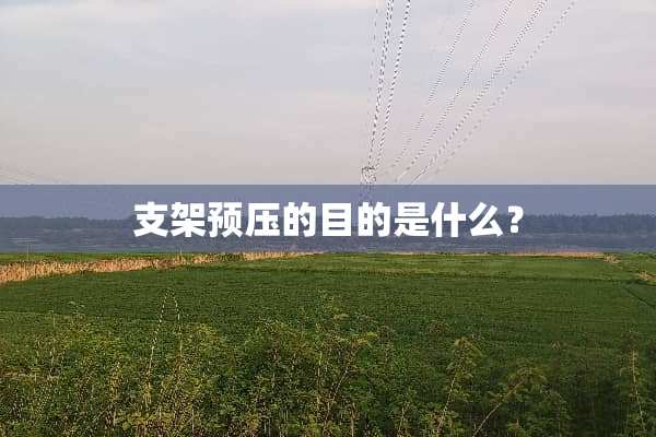 支架预压的目的是什么？