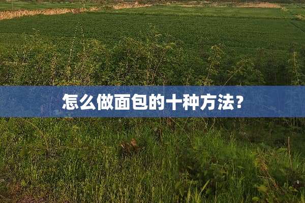 怎么做面包的十种方法？
