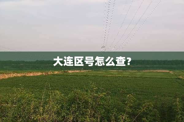 大连区号怎么查？