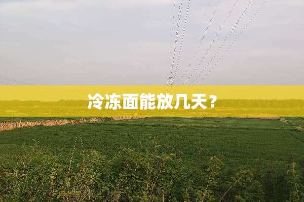 冷冻面能放几天？