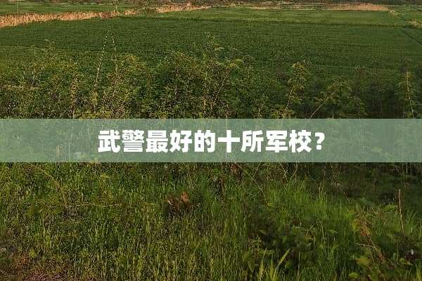 **最好的十所军校？