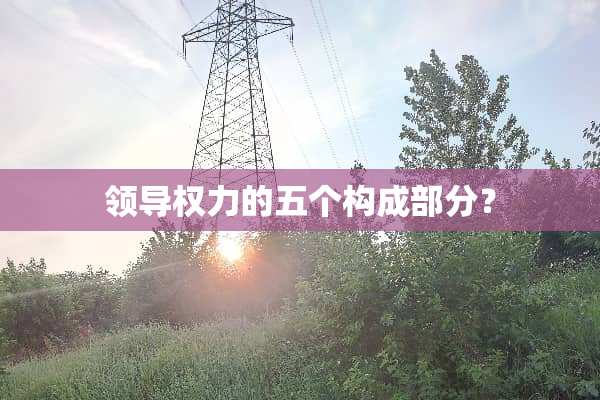 领导权力的五个构成部分？