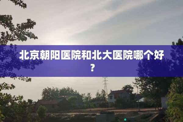 北京朝阳医院和北大医院哪个好？