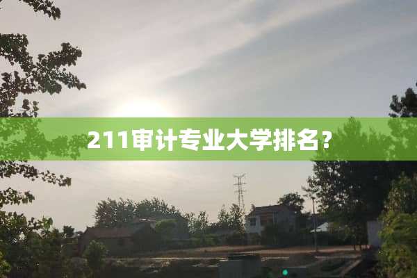 211审计专业大学排名？