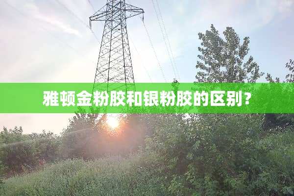 雅顿金粉胶和银粉胶的区别？