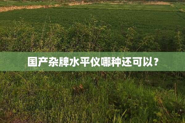 国产杂牌水平仪哪种还可以？