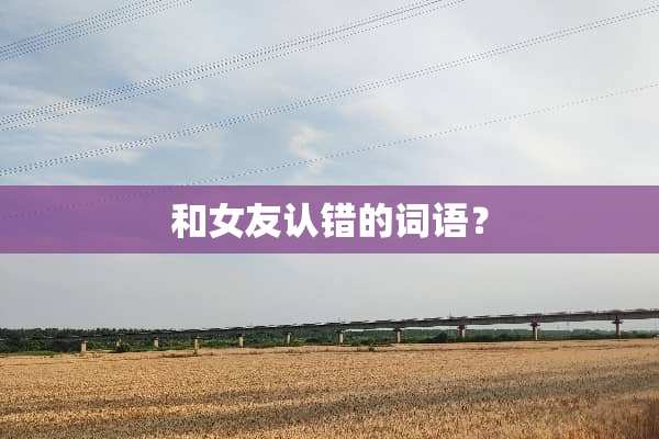 和女友认错的词语？