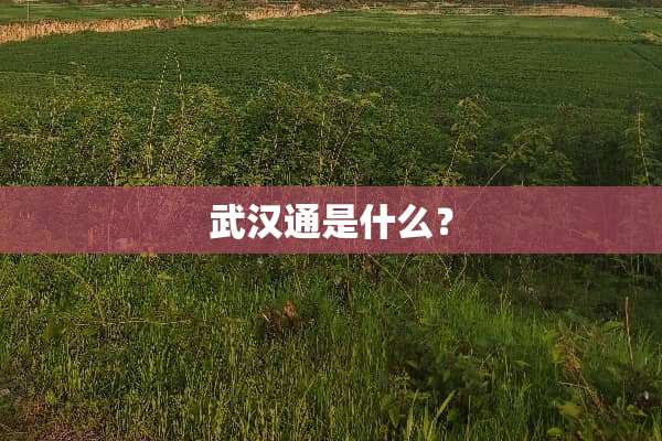 武汉通是什么？