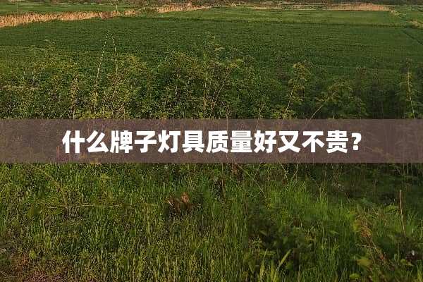什么牌子灯具质量好又不贵？