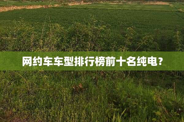 网约车车型排行榜前十名纯电？