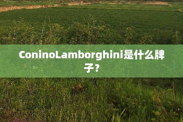 ConinoLamborghini是什么牌子？
