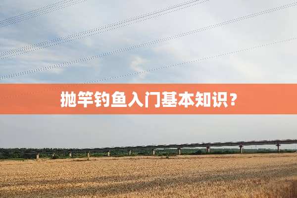 抛竿钓鱼入门基本知识？