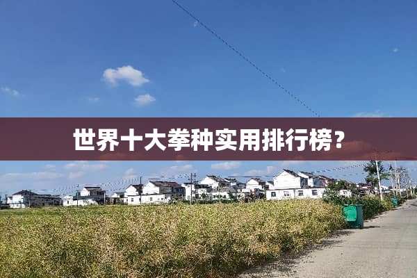 世界十大拳种实用排行榜？