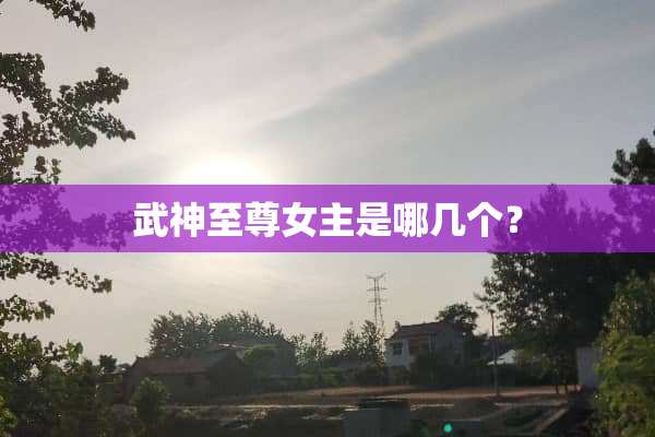 武神至尊女主是哪几个？
