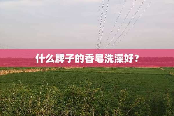 什么牌子的香皂洗澡好？
