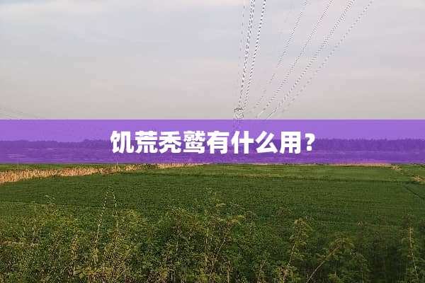 饥荒秃鹫有什么用？
