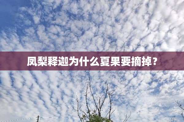 凤梨释迦为什么夏果要摘掉？