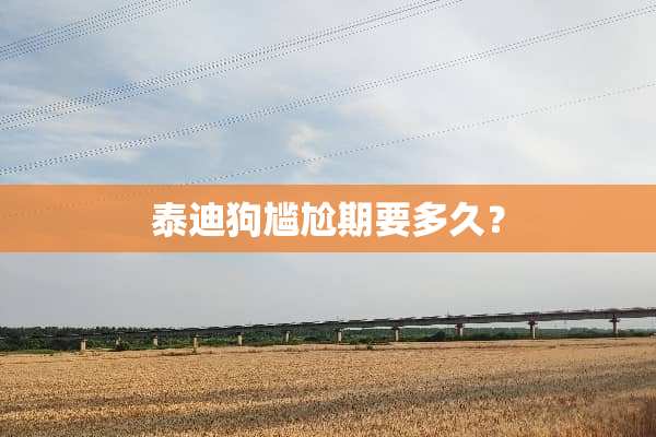 泰迪狗尴尬期要多久？