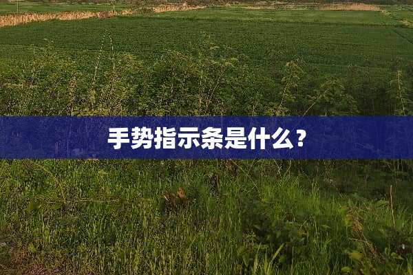 手势指示条是什么？