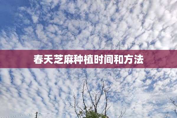 春天芝麻种植时间和方法