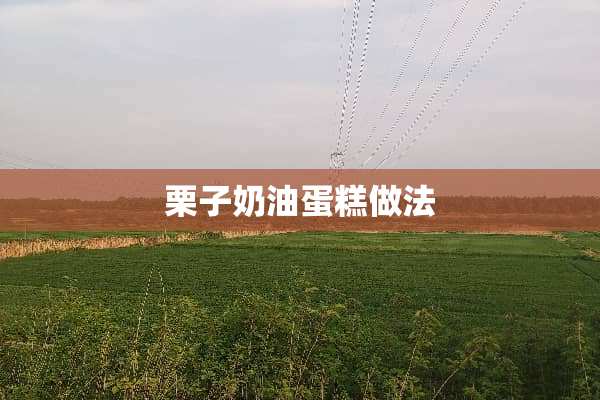 栗子奶油蛋糕做法