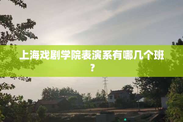 上海戏剧学院表演系有哪几个班？