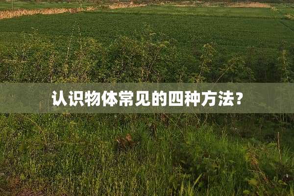 认识物体常见的四种方法？