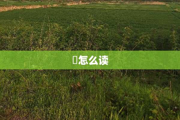 禤怎么读