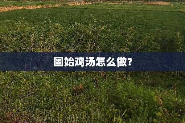 固始鸡汤怎么做？
