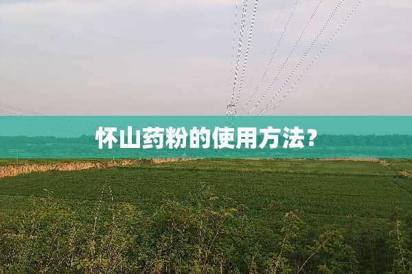 怀山药粉的使用方法？