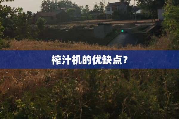 榨汁机的优缺点？
