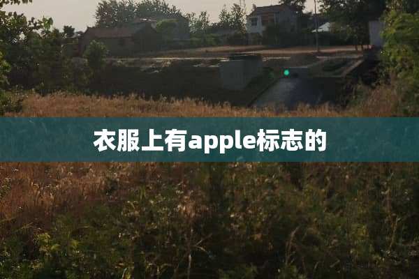 衣服上有apple标志的