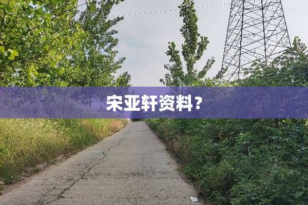 宋亚轩资料？