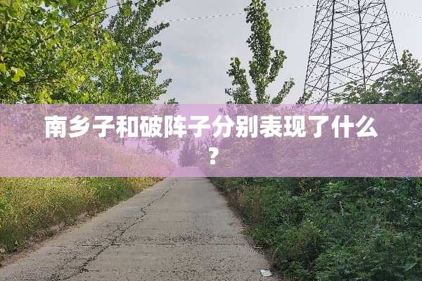 南乡子和破阵子分别表现了什么？
