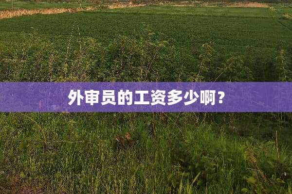 外审员的工资多少啊？