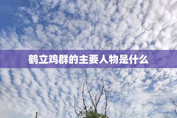 鹤立鸡群的主要人物是什么