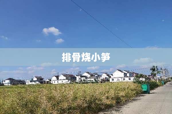 排骨烧小笋