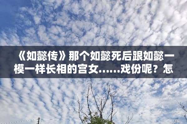 《如懿传》那个如懿死后跟如懿一模一样长相的宫女……戏份呢？怎么没有？