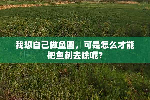 我想自己做鱼圆，可是怎么才能把鱼刺去除呢？