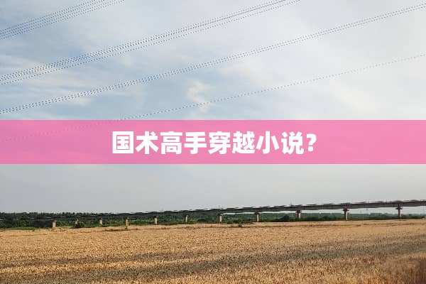 国术高手穿越小说？
